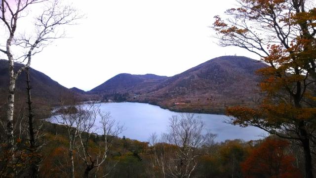 10/15(日) 五輪尾根三山「出張山・薬師岳・陣笠山を巡る初級ハイキングと秋の草花の観察会」参加者募集中！