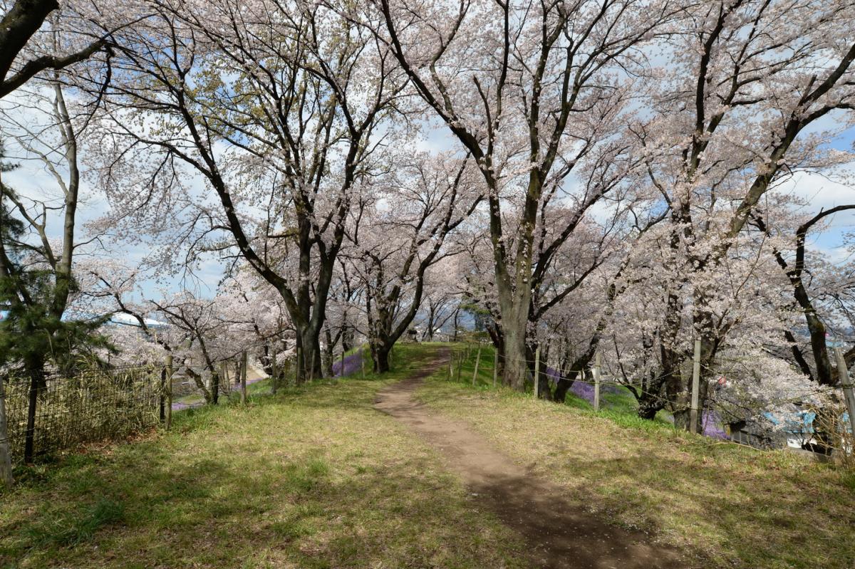 総社二子山古墳