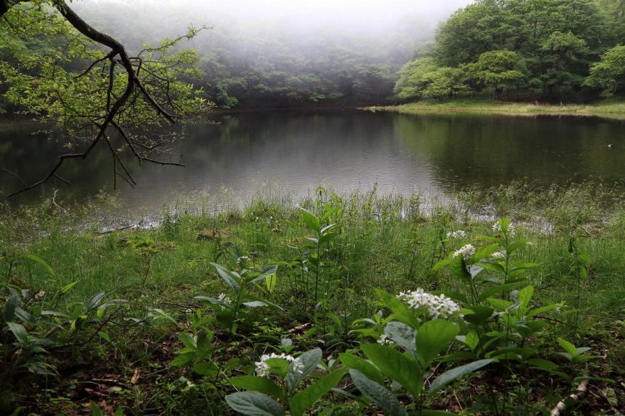 血の池（撮影スポット）