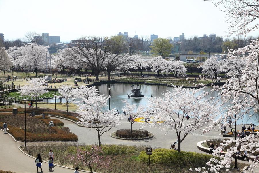 楽歩堂前橋公園