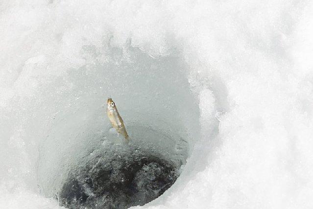 冬の氷上