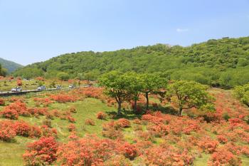 赤城山・白樺牧場・春